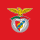 Símbolo do Benfica entre os 100 destacados pela revista britânica FourFourTwo